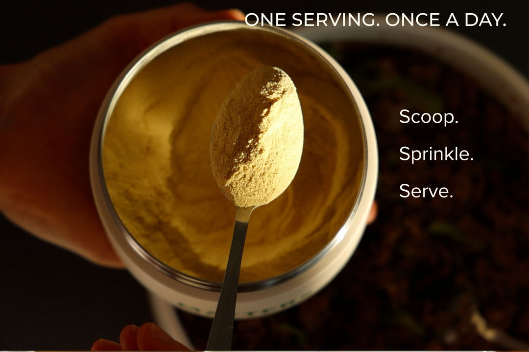 Spoonful of MD1 powder lifted from the canister